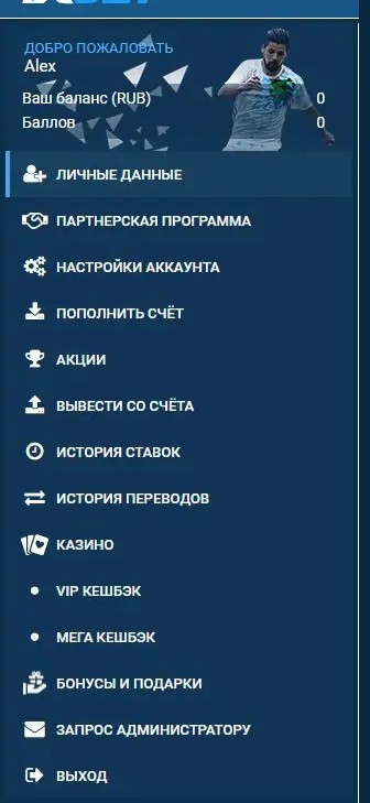 Возможности личного кабинета БК 1 xBet